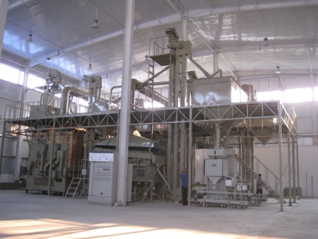 10T/H Wheat processing line